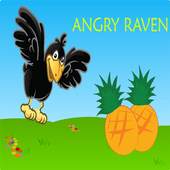 Angry raven bird 1.0