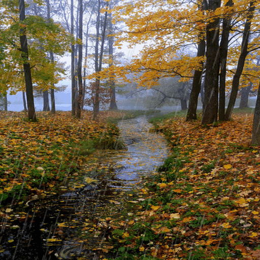 Rainy Autumn Live Wallpaper icon