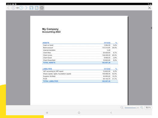 Banana Accounting Mobile screenshot 14
