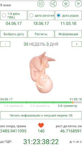 Калькулятор беременности скриншот 5