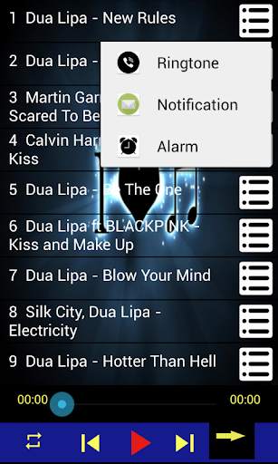 Dua Lipa Songs offline screenshot 1