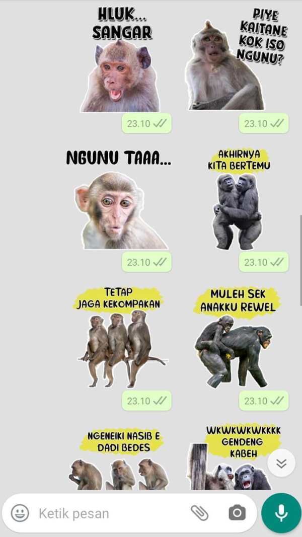 Stiker WA Monyet Jawa Lucu screenshot 5