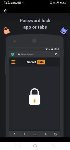 Falcon-Browser screenshot 3