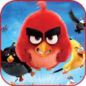 Angry Bird Wallpapers