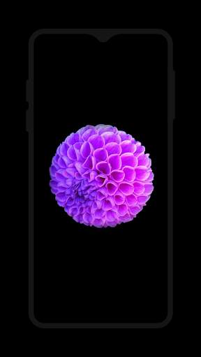 Black Wallpaper screenshot 4