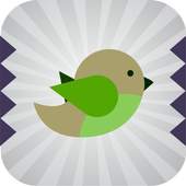 Spikey Bird 2.0.1