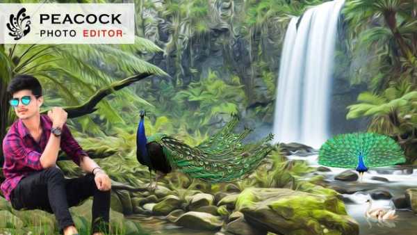 Peacock Photo Editor : Peacock Photo Frames screenshot 2