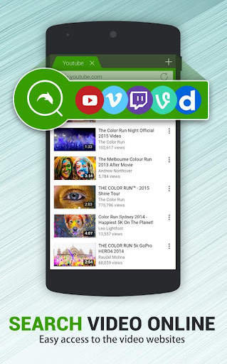 Dolphin Video - Flash Player F screenshot 2