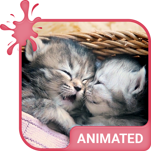 Cute Kittens Animated Keyboard   Live Wallpaper icon