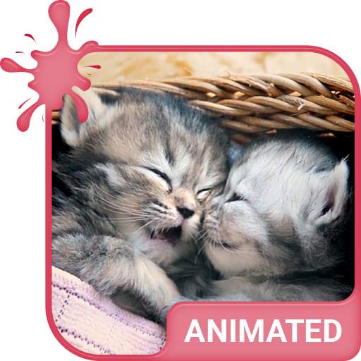 Cute Kittens Animated Keyboard   Live Wallpaper 3.63