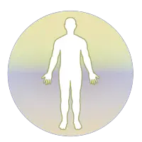 Homoeopathic Repertorium