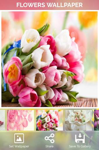 Flowers Wallpaper screenshot 4