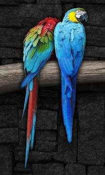 Bird Live Wallpaper screenshot 2