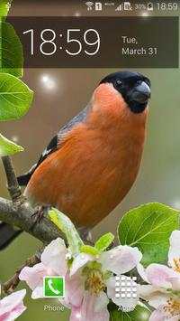 Spring Birds screenshot 3