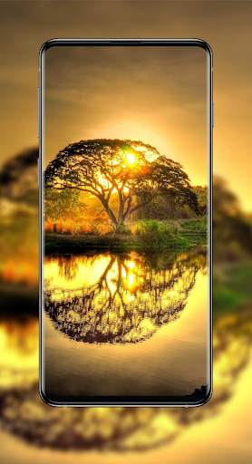 Live Wallpaper-4K Wallpaper-Auto Wallpaper Changer screenshot 7