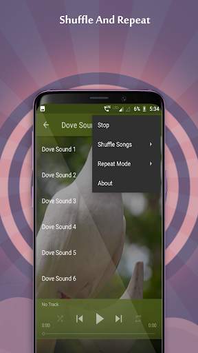 Dove Sounds 3 تصوير الشاشة