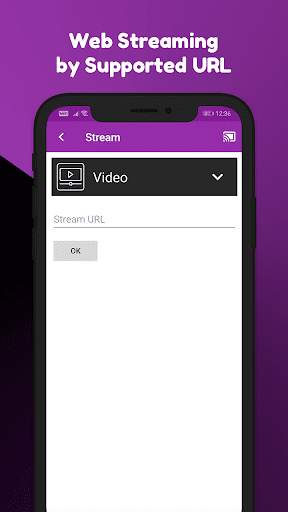 Roku Remote : Cast , Web Cast , Mirror , IPTV Cast screenshot 6