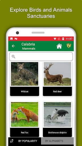 Calabria Travel & Explore, Offline Tourist Guide screenshot 5