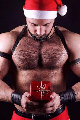 Gay Bear Wallpaper HD (LGBT Background Photo) screenshot 4