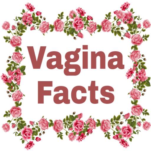 Vagina Facts 4