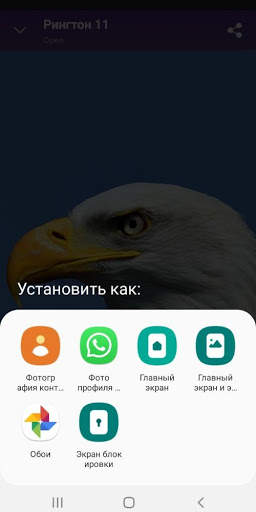 Eagle - RINGTONES and WALLPAPERS screenshot 5