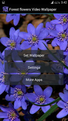 Forest flowers Video Wallpaper screenshot 6