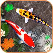3D Koi Fish Wallpaper HD - 3D Fish Live Wallpapers 1.3