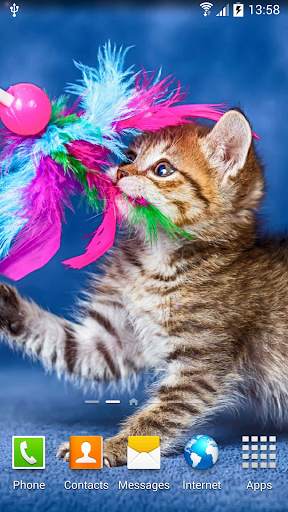 Cat Live Wallpaper screenshot 4