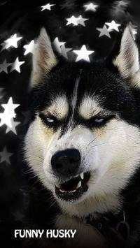 Funny Husky launcher theme screenshot 1