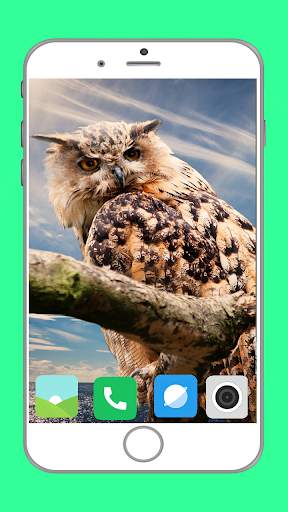 Predator Birds Full HD Wallpaper скриншот 2