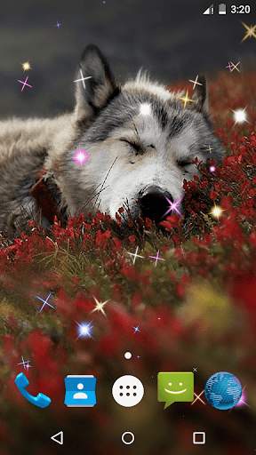 Wolf Live Wallpaper screenshot 6