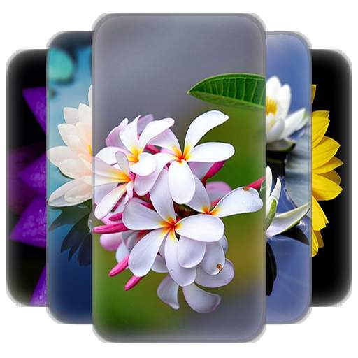 Flower Wallpaper 2