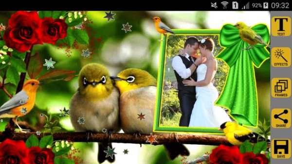 Love Birds Photo Frames screenshot 4