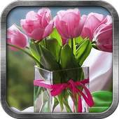 Tulips Live Wallpaper 1.3