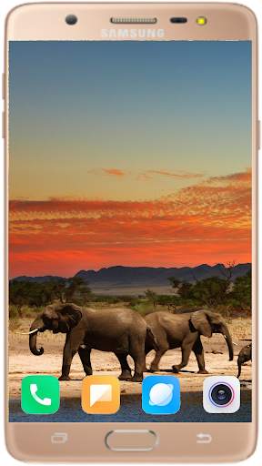 Elephant Wallpaper Best HD screenshot 12