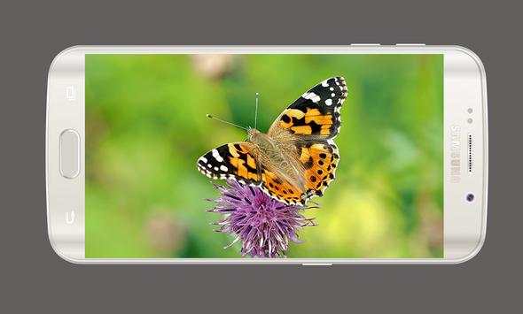 Super Selfie Camera HD 4 تصوير الشاشة