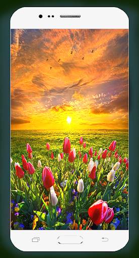 Spring Wallpaper HD screenshot 11