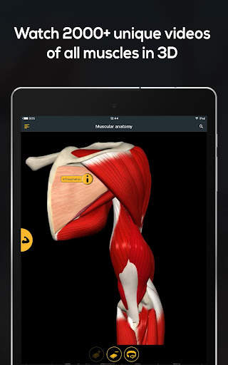 Anatomy by Muscle & Motion screenshot 13