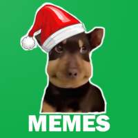 Stickers de Memes WhatsApp logo