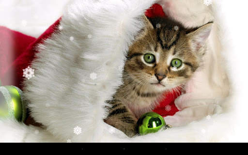 Xmas Cat Live Wallpaper screenshot 6