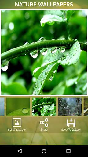 Nature Wallpapers screenshot 4