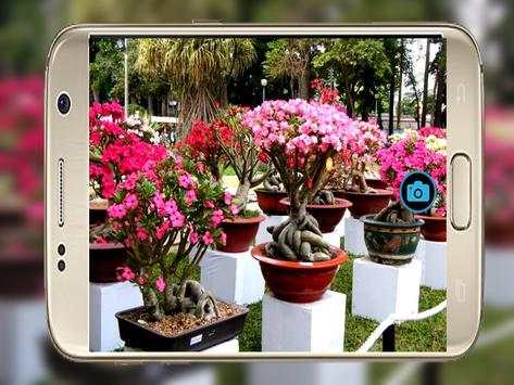 Camera Selfie & Video_Camera For Asus Zenfone 5 3 تصوير الشاشة