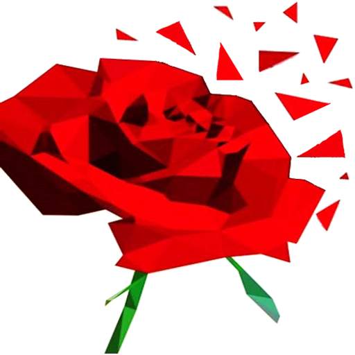 Flower Puzzle Game Poly Art 3D 1.0