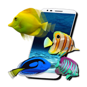 FISH LIVE WALLPAPER 2016 icon