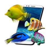 FISH LIVE WALLPAPER 2016 1.1
