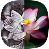 Photo Sketch Maker - Sketch Effect Photo Free 3.3.33
