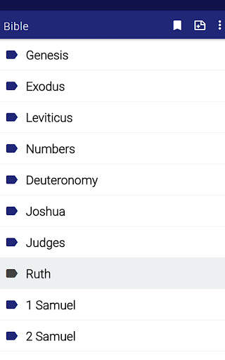 KJV Bible offline in english screenshot 10