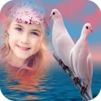 Birds Photo Frame