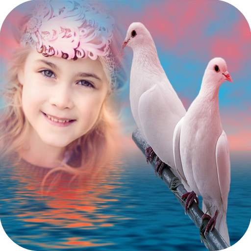 Birds Photo Frame 1.0