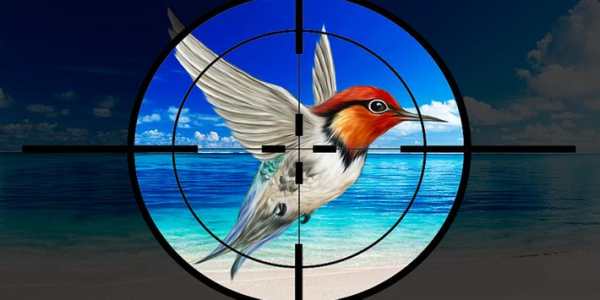 Wild Birds Hunting 2019- Bird Hunter 3D screenshot 2
